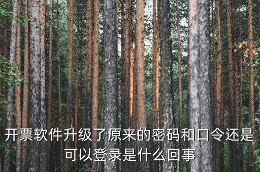 金稅盤(pán)開(kāi)票密碼和口令是什么意思，口令和密碼有什么區(qū)別