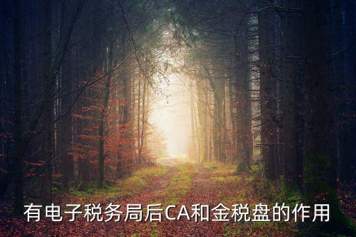 電子稅務(wù)局有什么用，有電子稅務(wù)局后CA和金稅盤的作用