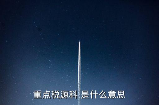為什么要填重點稅源表，重點稅源的介紹