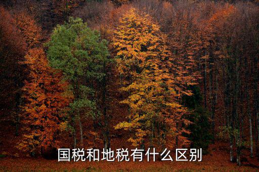 內(nèi)地稅是什么，請問地稅開的是什么發(fā)票國稅開的又是哪些發(fā)票比如說增值稅發(fā)