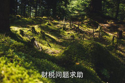 財(cái)稅問(wèn)題是什么，財(cái)稅風(fēng)險(xiǎn)都有哪些