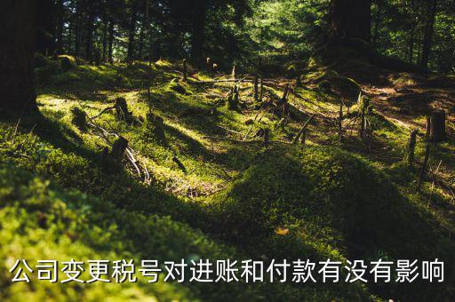 換稅號(hào)注意什么，公司變更稅號(hào)對(duì)進(jìn)賬和付款有沒有影響
