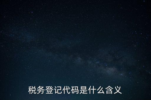 國稅發(fā)票認證登錄代碼是什么意思，國稅局發(fā)票軟件里用戶代碼和密碼是什么