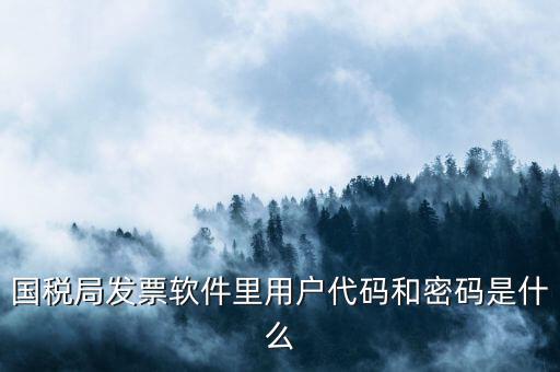 網(wǎng)上認證發(fā)票平臺密碼是什么樣的，國稅局發(fā)票軟件里用戶代碼和密碼是什么