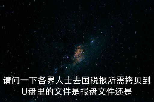 請問一下各界人士去國稅報(bào)所需拷貝到U盤里的文件是報(bào)盤文件還是