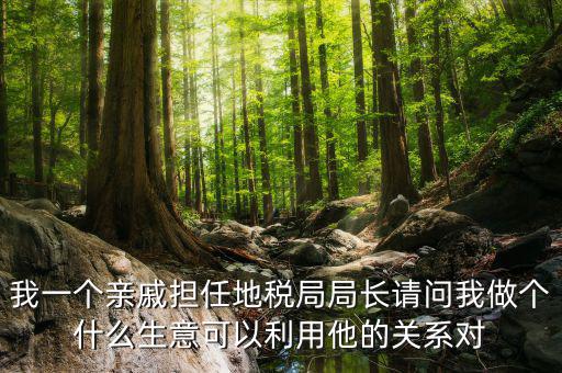 國稅局長可以干什么，東營地稅局局長有多大權力他能管什么啊
