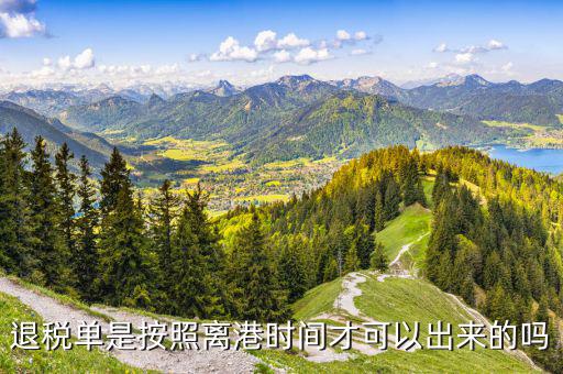退稅單一般什么時候下來，退稅單是按照離港時間才可以出來的嗎