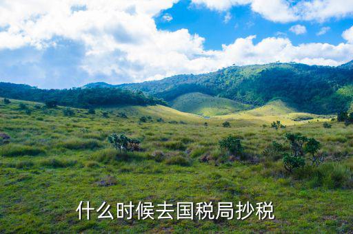 什么時(shí)候抄稅報(bào)稅，什么時(shí)候去國稅局抄稅