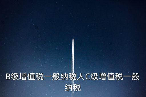 納稅用戶c級企業(yè)是什么意思，B級增值稅一般納稅人C級增值稅一般納稅