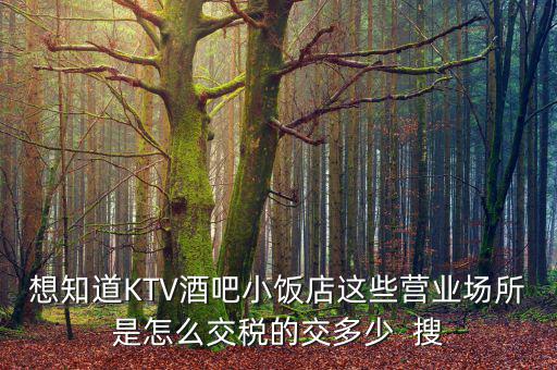 ktv交納什么稅，想知道KTV酒吧小飯店這些營業(yè)場所是怎么交稅的交多少  搜