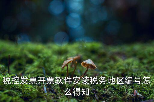 發(fā)票地區(qū)編號(hào)填什么，稅控發(fā)票開票軟件安裝稅務(wù)地區(qū)編號(hào)怎么得知
