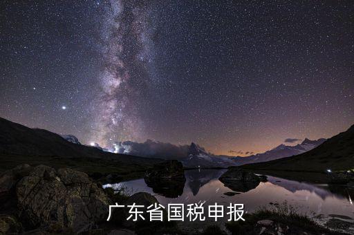 廣東省國稅2號窗是什么，廣州國稅網(wǎng)2號窗口查詢區(qū)可以查詢什么信息