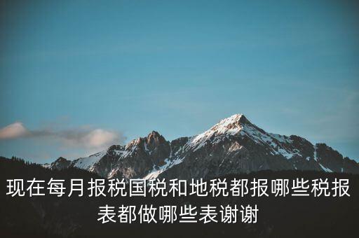 國稅報(bào)什么，現(xiàn)在每月報(bào)稅國稅和地稅都報(bào)哪些稅報(bào)表都做哪些表謝謝
