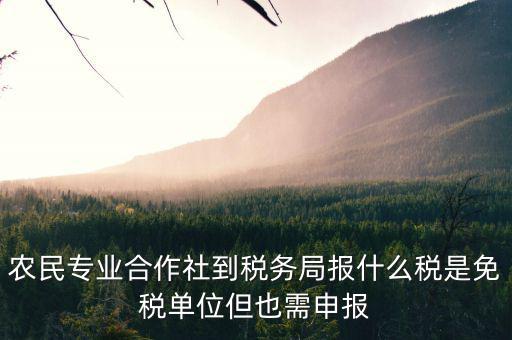 合作社應(yīng)報(bào)什么稅，農(nóng)民專業(yè)合作社是怎樣報(bào)稅的是企業(yè)還是個(gè)體戶