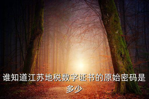 江蘇地稅登錄密碼是什么，江蘇地稅開(kāi)票密碼是多少