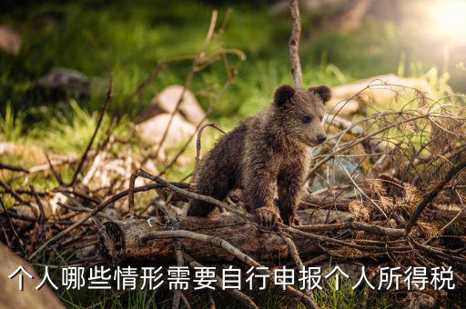 什么人申報(bào)個(gè)稅，個(gè)人哪些情形需要自行申報(bào)個(gè)人所得稅