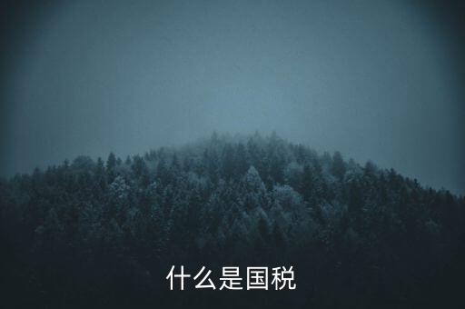 2017年國稅是什么，2017年我國財政稅收是多少