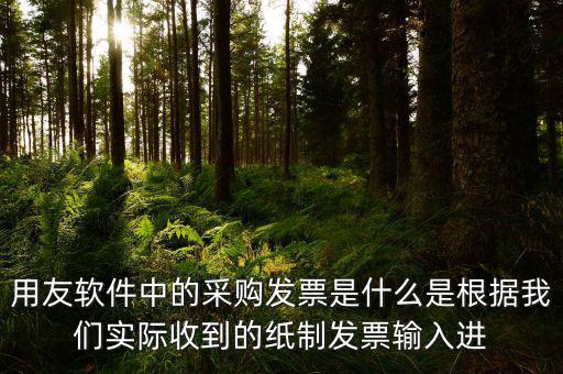 上下游采購發(fā)票是什么，用友軟件中的采購發(fā)票是什么是根據(jù)我們實(shí)際收到的紙制發(fā)票輸入進(jìn)