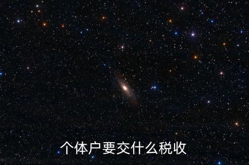 個體地稅交什么稅，個體戶要交什么稅收