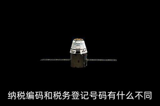 個人納稅編號是什么意思，納稅編碼和稅務(wù)登記號碼有什么不同