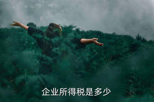 生產(chǎn)企業(yè)稅收標(biāo)準(zhǔn)是什么，企業(yè)所得稅是多少