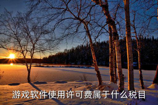 軟件使用費(fèi)交什么稅，軟件使用費(fèi)應(yīng)開國稅發(fā)票還是地稅發(fā)票