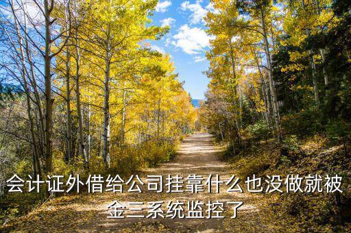 金三系統(tǒng)有什么問(wèn)題，會(huì)計(jì)證外借給公司掛靠什么也沒(méi)做就被金三系統(tǒng)監(jiān)控了