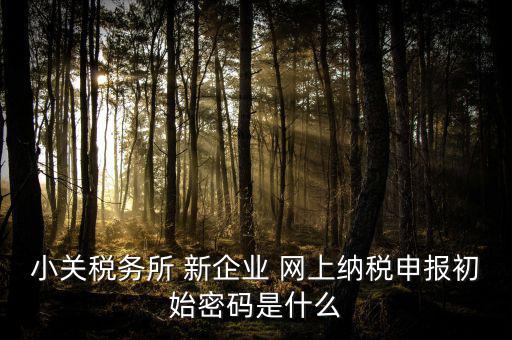 深圳國稅微信預(yù)約密碼是什么意思，小關(guān)稅務(wù)所 新企業(yè) 網(wǎng)上納稅申報(bào)初始密碼是什么