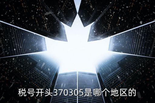 稅號(hào)開頭370305是哪個(gè)地區(qū)的