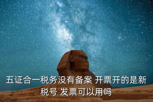 新稅號(hào)用到什么，新稅號(hào)開的發(fā)票與老稅號(hào)開具的發(fā)票有什么不同