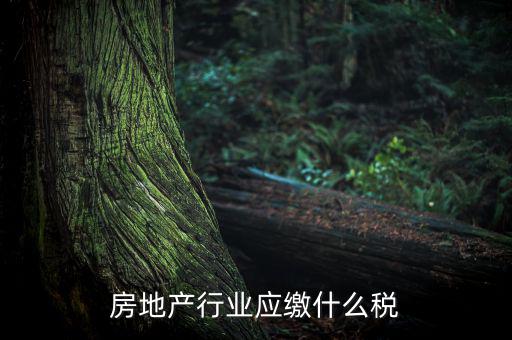 房地產(chǎn)企業(yè)要交什么稅，房地產(chǎn)行業(yè)應(yīng)繳什么稅