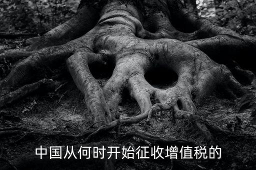 什么時候征收增值稅，批發(fā)零售業(yè)增值稅征收率什么時間開始為3