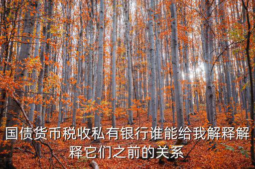 國(guó)債貨幣稅收私有銀行誰(shuí)能給我解釋解釋它們之前的關(guān)系