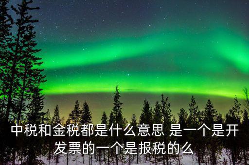 中稅和金稅都是什么意思 是一個是開發(fā)票的一個是報(bào)稅的么