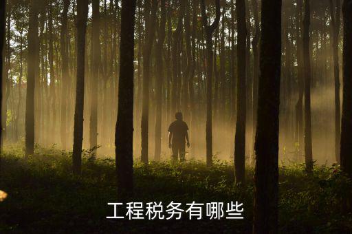 稅務三代項目是什么，通常說的三稅是指什么啊