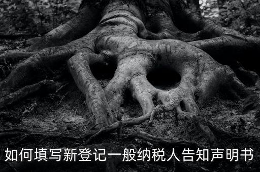 納稅人聲明是什么意思，一般納稅人申報(bào)表主表的申明人必須輸入是什么意思