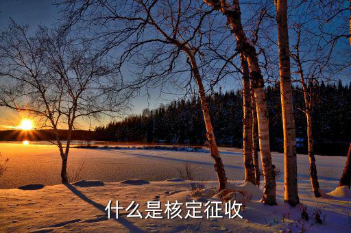 什么是核定征收稅款，核定征收是什么意思