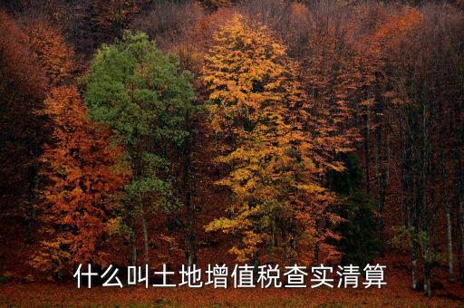 土地增值稅為什么清算，土地增值稅清算