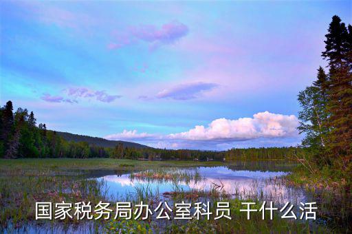 國稅行政辦公室干什么，國稅局辦公室怎么樣