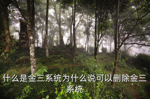 國(guó)稅金三系統(tǒng)是什么，什么是金三系統(tǒng)為什么說(shuō)可以刪除金三系統(tǒng)