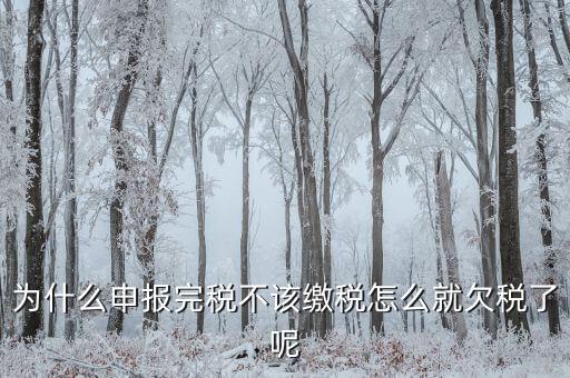 為什么國稅欠稅不催繳，因稅務(wù)機關(guān)原因未能及時繳納稅款是否屬于欠稅