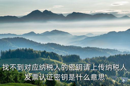 稅務(wù)的key是什么意思，國稅報稅用戶名與key不符什么意思