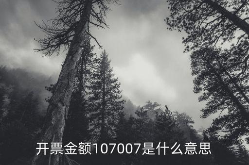 開票金額是什么意思，增值稅專用發(fā)票的各項(xiàng)金額分別是什么含義