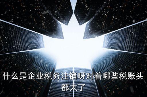 什么是錯(cuò)峰預(yù)約辦稅，網(wǎng)上辦稅系統(tǒng)納稅人未開(kāi)通使用此介入軟件是什么意思