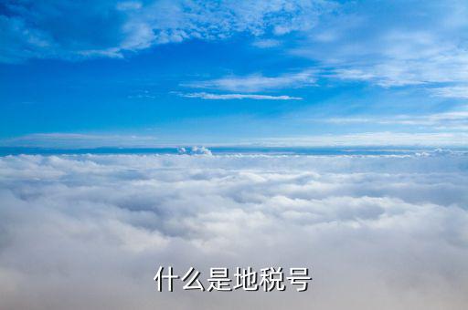稅務(wù)賬號是什么，什么是地稅號