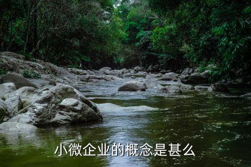 小微企業(yè)包括什么意思，微型企業(yè)是什么啊