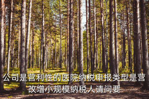 公司是營利性的醫(yī)院納稅申報(bào)類型是營改增小規(guī)模納稅人請問要