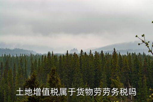 土地增值稅屬于什么稅種，土地增值稅是什么