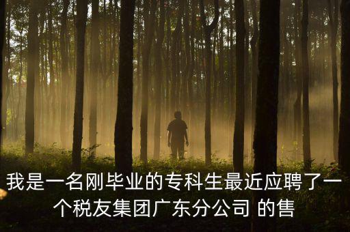 我是一名剛畢業(yè)的?？粕罱鼞?yīng)聘了一個(gè)稅友集團(tuán)廣東分公司 的售