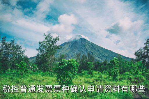 票種核定申請交什么資料，發(fā)票票種核定調(diào)整被拒需要提供什么資料